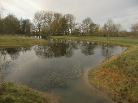 Geldern : An den Niersauen